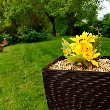 Deluxe 2 Bed Versace Bungalow Hot Tub, Sky Tv, Cinema Screen Saffron Walden Extérieur photo